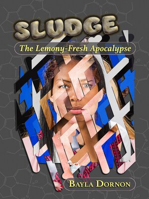 cover image of Sludge